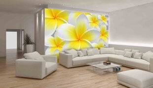 Consalnet Fototapeet Flowers 312 x 219 cm 033VEXXL цена и информация | Фотообои | kaup24.ee