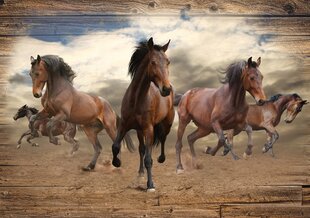 Consalnet Фотообои флизелиновые Horses 312 x 219 cm 10083VEXXL цена и информация | Фотообои | kaup24.ee