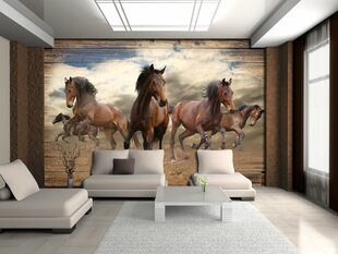 Consalnet Фотообои флизелиновые Horses 416 x 254 cm 10083VEXXXL цена и информация | Фотообои | kaup24.ee