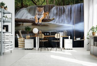 Consalnet Tapeet Jungle 416x254 cm 14591VEXXXL hind ja info | Fototapeedid | kaup24.ee