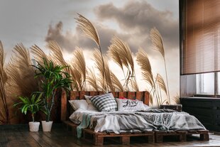 Consalnet Фотообои флизелиновые Pampas 312 x 219 cm 14597VEXXL цена и информация | Фотообои | kaup24.ee