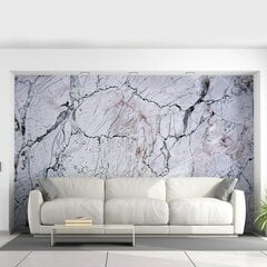 Halli marmorist fototapeet, kiviefektiga marmortapeet, sisekujundus - 390 x 280 cm hind ja info | Seinakleebised | kaup24.ee