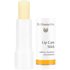 Dr. Hauschka Lip Care Stick 4,9 g 4.9g hind ja info | Huulepulgad, -läiked, -palsamid, vaseliin | kaup24.ee