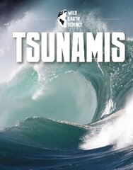 Tsunamis цена и информация | Книги для подростков и молодежи | kaup24.ee