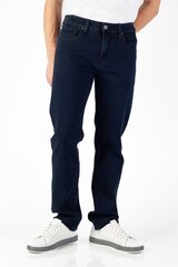 Meeste teksapüksid Evin hind ja info | Meeste teksad | kaup24.ee