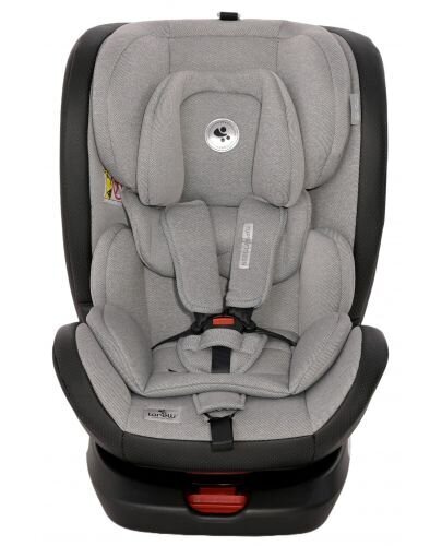 Lorelli Turvatool Nebula Isofix, 0-36 kg, grey hind ja info | Turvatoolid | kaup24.ee