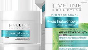 Гиалуроновый крем день/ночь EVELINE Skin Care Expert, 50 мл цена и информация | Кремы для лица | kaup24.ee