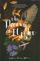 Theory of Flight цена и информация | Фантастика, фэнтези | kaup24.ee