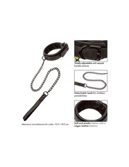 CALEX BOUNDLESS COLLAR AND LEASH цена и информация | БДСМ и фетиш | kaup24.ee