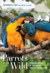 Parrots of the Wild: A Natural History of the World's Most Captivating Birds цена и информация | Книги по экономике | kaup24.ee