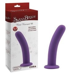 Dildo rakmete jaoks Raw Recruit M Purple hind ja info | Dildod | kaup24.ee