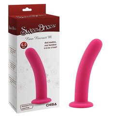 Dildo rakmete jaoks Raw Recruit M Pink hind ja info | Dildod | kaup24.ee