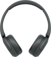 Sony WHCH520B.CE7. цена и информация | Sony Умные часы и браслеты | kaup24.ee