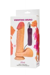 Dildo Dual Density Mod. 2 - 9 Caramel цена и информация | Фаллоимитаторы | kaup24.ee