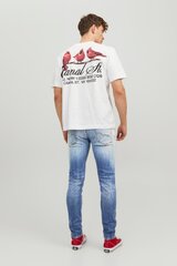 Teksapüksid JACK & JONES 12229197 hind ja info | Meeste teksad | kaup24.ee