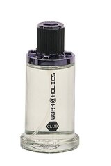 Linn Young Work@holics Club EDT meestele 100 ml hind ja info | Linn Young Kosmeetika, parfüümid | kaup24.ee
