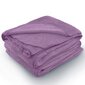 AmeliaHome mikrofibros pledas Tylet Lilac, 220x240 cm цена и информация | Voodikatted, pleedid | kaup24.ee