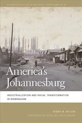 America's Johannesburg: Industrialization and Racial Transformation in Birmingham цена и информация | Книги по социальным наукам | kaup24.ee