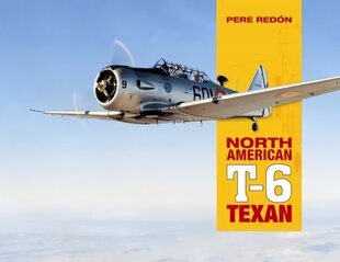 North American T-6 Texan цена и информация | Книги по социальным наукам | kaup24.ee