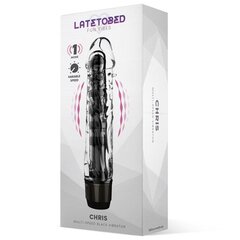 Chris Multi-Speed Vibe Black цена и информация | Вибраторы | kaup24.ee