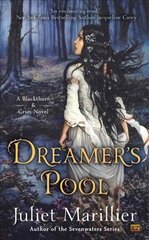 Dreamer's Pool: A Blackthorn & Grim Novel цена и информация | Фантастика, фэнтези | kaup24.ee