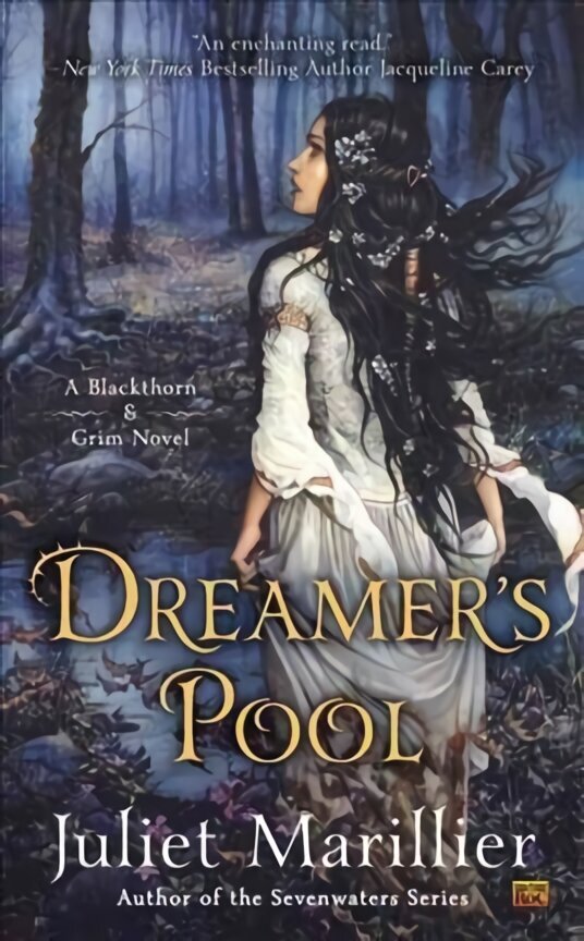 Dreamer's Pool: A Blackthorn & Grim Novel hind ja info | Fantaasia, müstika | kaup24.ee