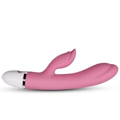 Vibe Dreamer II USB Pink цена и информация | Вибраторы | kaup24.ee