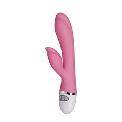 Vibe Dreamer II USB Pink цена и информация | Вибраторы | kaup24.ee