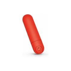 Komplekt Mini vibraator ja geel 50 ml hind ja info | Vibraatorid | kaup24.ee