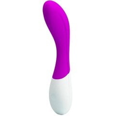 Vibraator Vibe Master Orgasm, roosa hind ja info | Vibraatorid | kaup24.ee