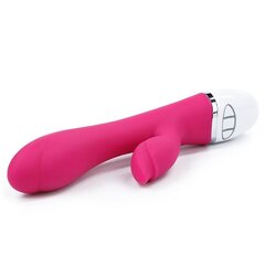 Vibe Dreamer II USB Rose Red цена и информация | Вибраторы | kaup24.ee