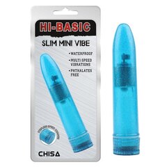 Slim Mini Vibe Blue цена и информация | Вибраторы | kaup24.ee