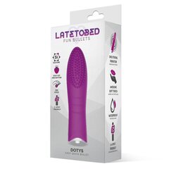 Dotys Easy Quick Vibrating Bullet Silicone Purple цена и информация | Вибраторы | kaup24.ee