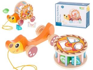 Kõristi nööriga Liikuv Siil hind ja info | Imikute mänguasjad | kaup24.ee