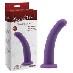 Dildo Bend Over M Purple hind ja info | Dildod | kaup24.ee