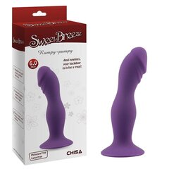 Dildo rakmete jaoks Rumpy Pumpy Purple hind ja info | Dildod | kaup24.ee