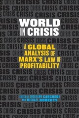 World In Crisis: Marxist Perspectives on Crash & Crisis цена и информация | Книги по социальным наукам | kaup24.ee