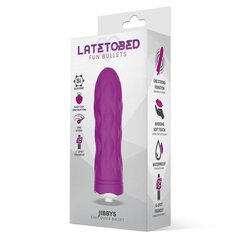 Vibraator Jibbys Easy Quick Vibrating Bullet Silicone, lilla цена и информация | Вибраторы | kaup24.ee