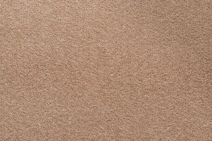 Rugsx ковровая дорожка Eton 172, 50x330 см цена и информация | Ковры | kaup24.ee