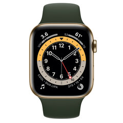 Apple Watch Series 6 44mm Stainless steel GPS+Cellular (Uuendatud, seisukord nagu uus) hind ja info | Nutikellad (smartwatch) | kaup24.ee