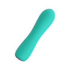 Стимулятор Elfin Silicone 11,9 x 3 см цена и информация | Вибраторы | kaup24.ee