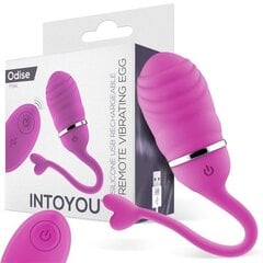 Виброяйцо с пультом управления Odise USB Silicone Pink цена и информация | Вибраторы | kaup24.ee