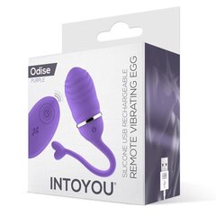 Виброяйцо с пультом управления Odise USB Silicone Purple цена и информация | Вибраторы | kaup24.ee