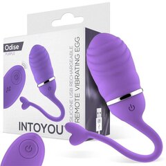 Виброяйцо с пультом управления Odise USB Silicone Purple цена и информация | Вибраторы | kaup24.ee