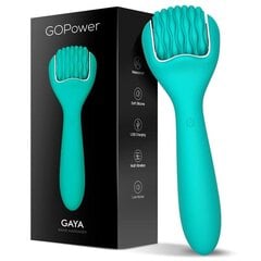 Masseerija Gaya Dual Function Wand, Usb, Silikoon цена и информация | Вибраторы | kaup24.ee