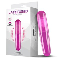 Quincy Easy Fun Vibrating Bullet Purple цена и информация | Вибраторы | kaup24.ee