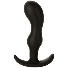 Butt Plug Naughty 2 Small Black hind ja info | Anaallelud | kaup24.ee