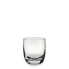 Villeroy & Boch "Fine Flavor" viskiklaasid 250ml, 2tk цена и информация | Стаканы, фужеры, кувшины | kaup24.ee