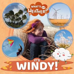 It's Windy! hind ja info | Noortekirjandus | kaup24.ee