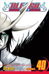 Bleach, Vol. 40: The Lust, 40 цена и информация | Фантастика, фэнтези | kaup24.ee